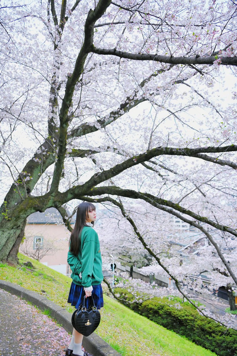 熊本アイ／Ai Kumamoto tweet media