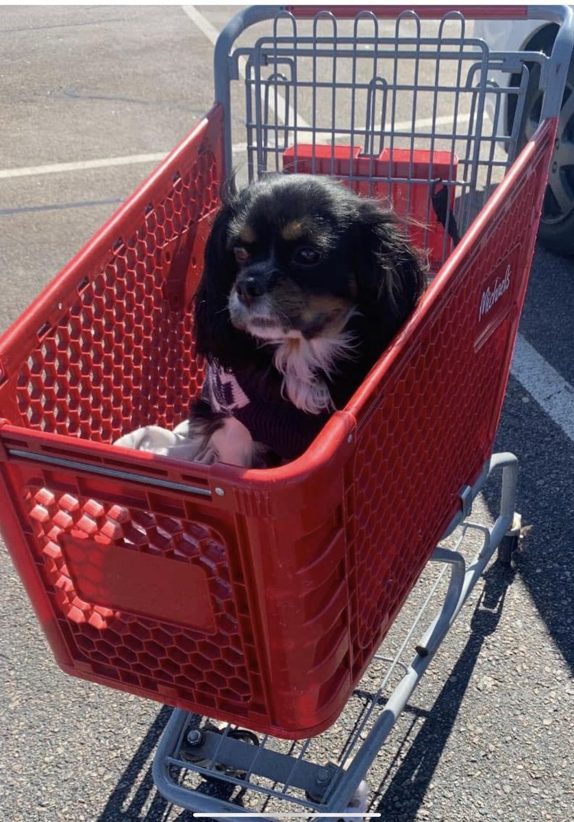 Spot On 👍🏼 tweet media