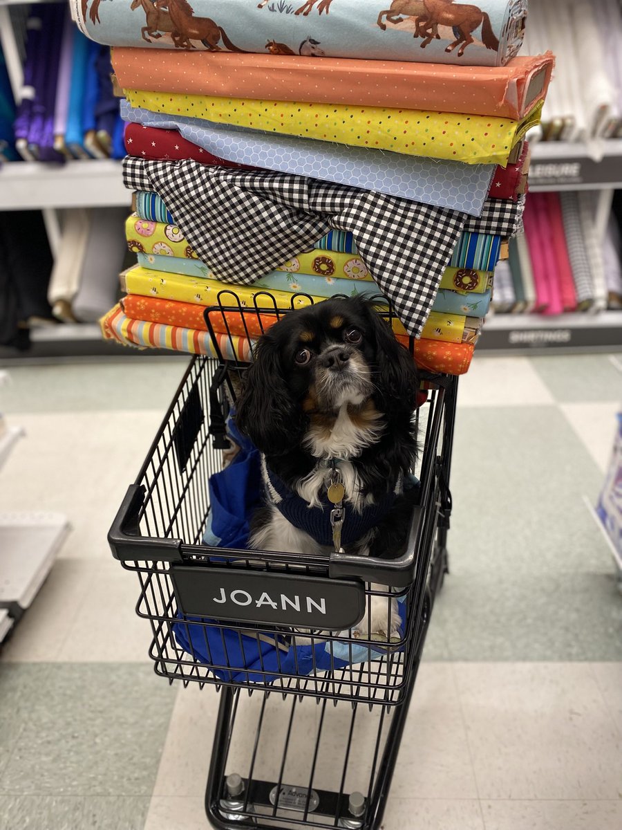 Spot On 👍🏼 tweet media