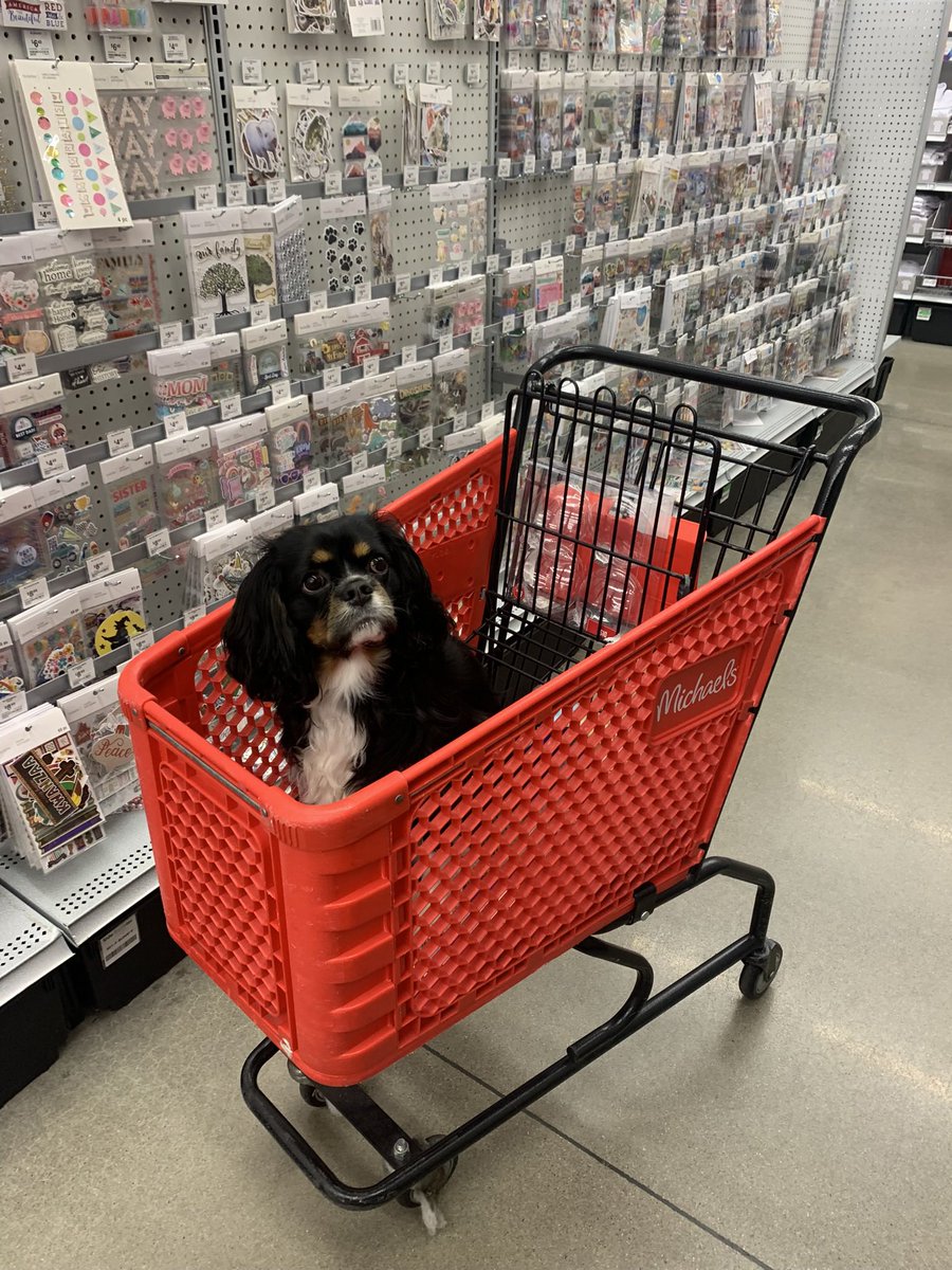 Spot On 👍🏼 tweet media