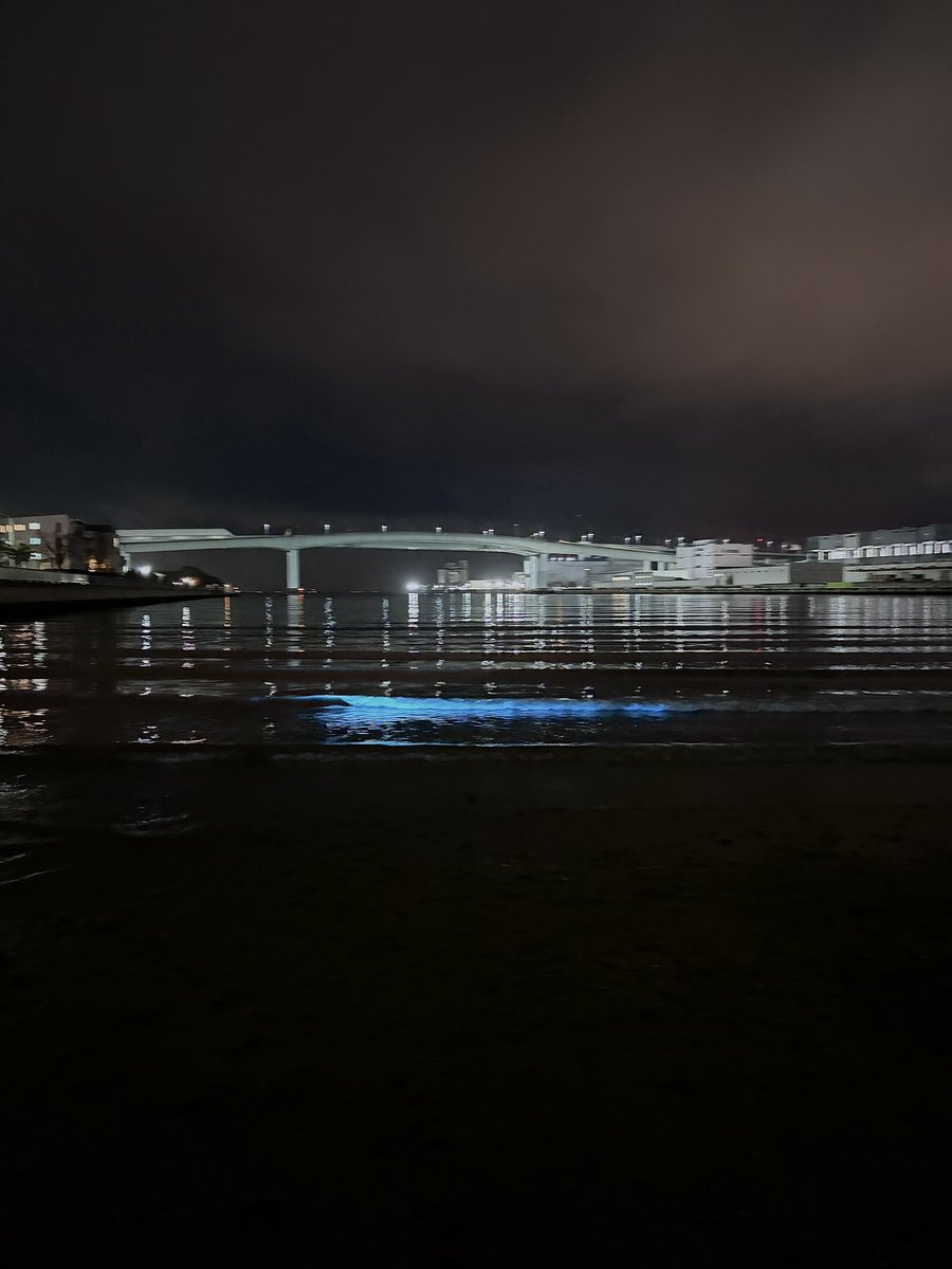 みなみ@データサイエンス tweet media