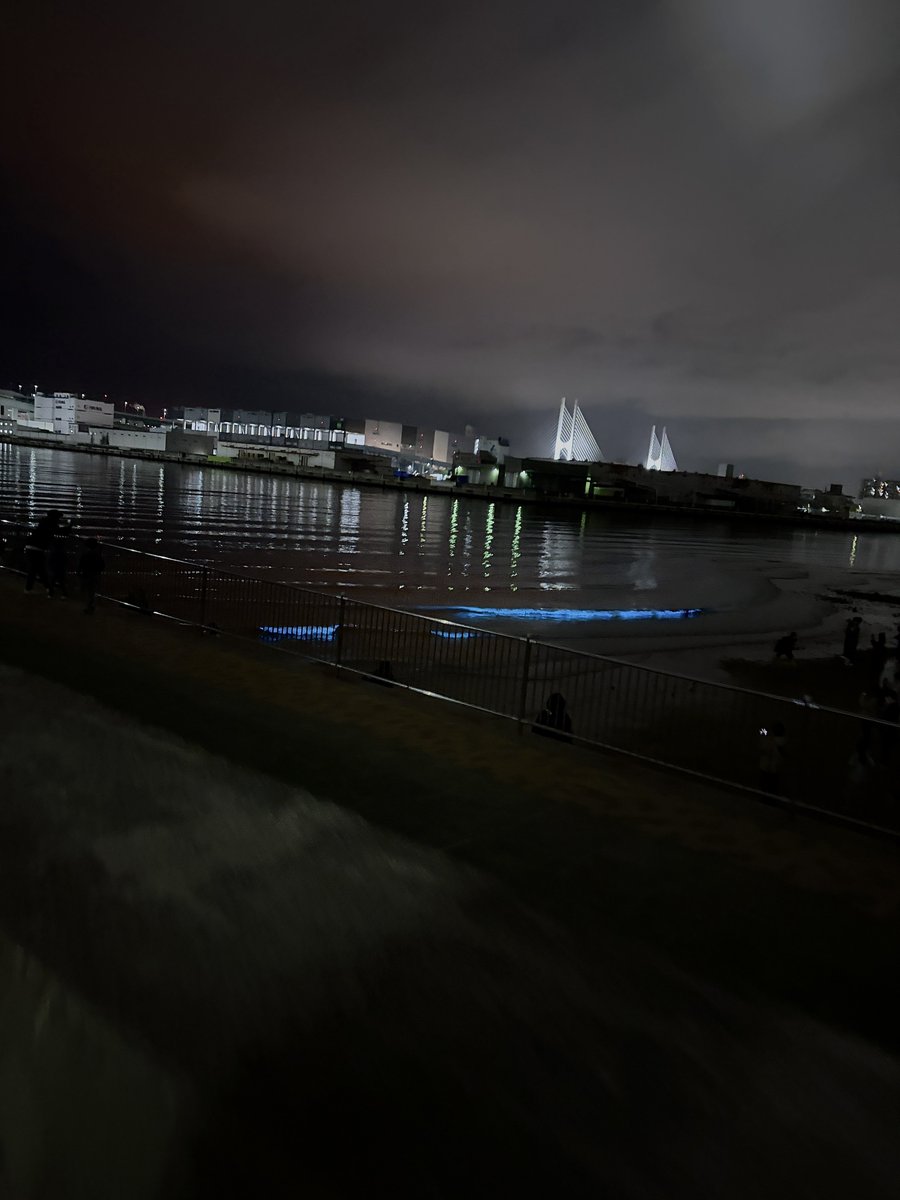 みなみ@データサイエンス tweet media