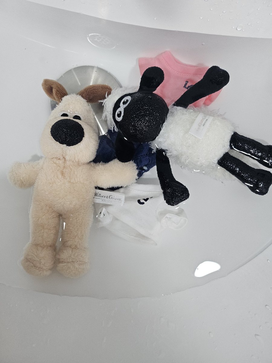 크밍🍀🧢 tweet media