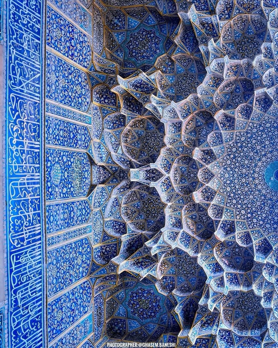 Shia Visuals tweet media