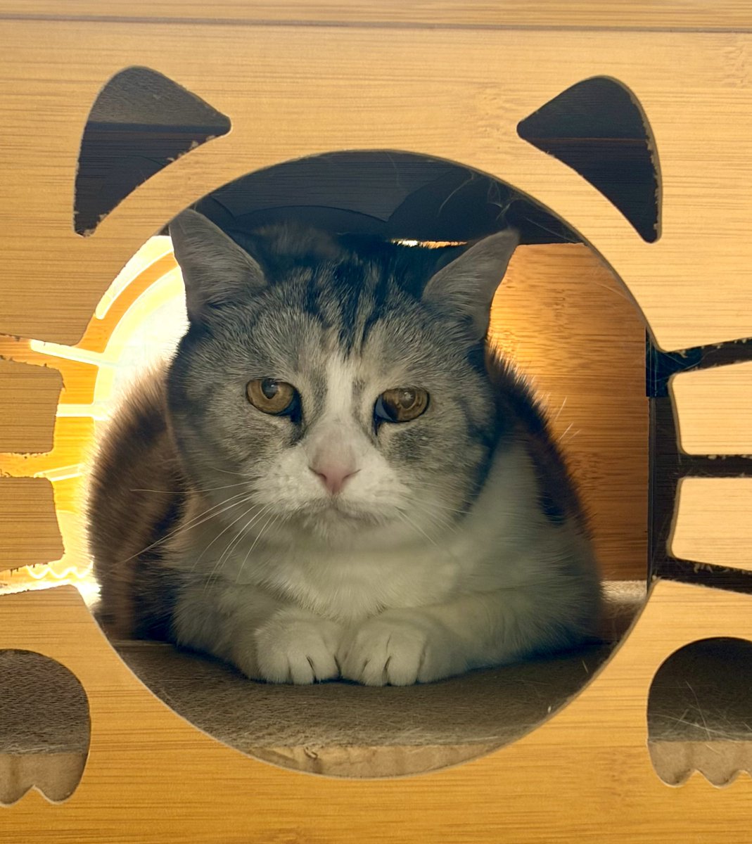 ใจใใตใผ tweet media