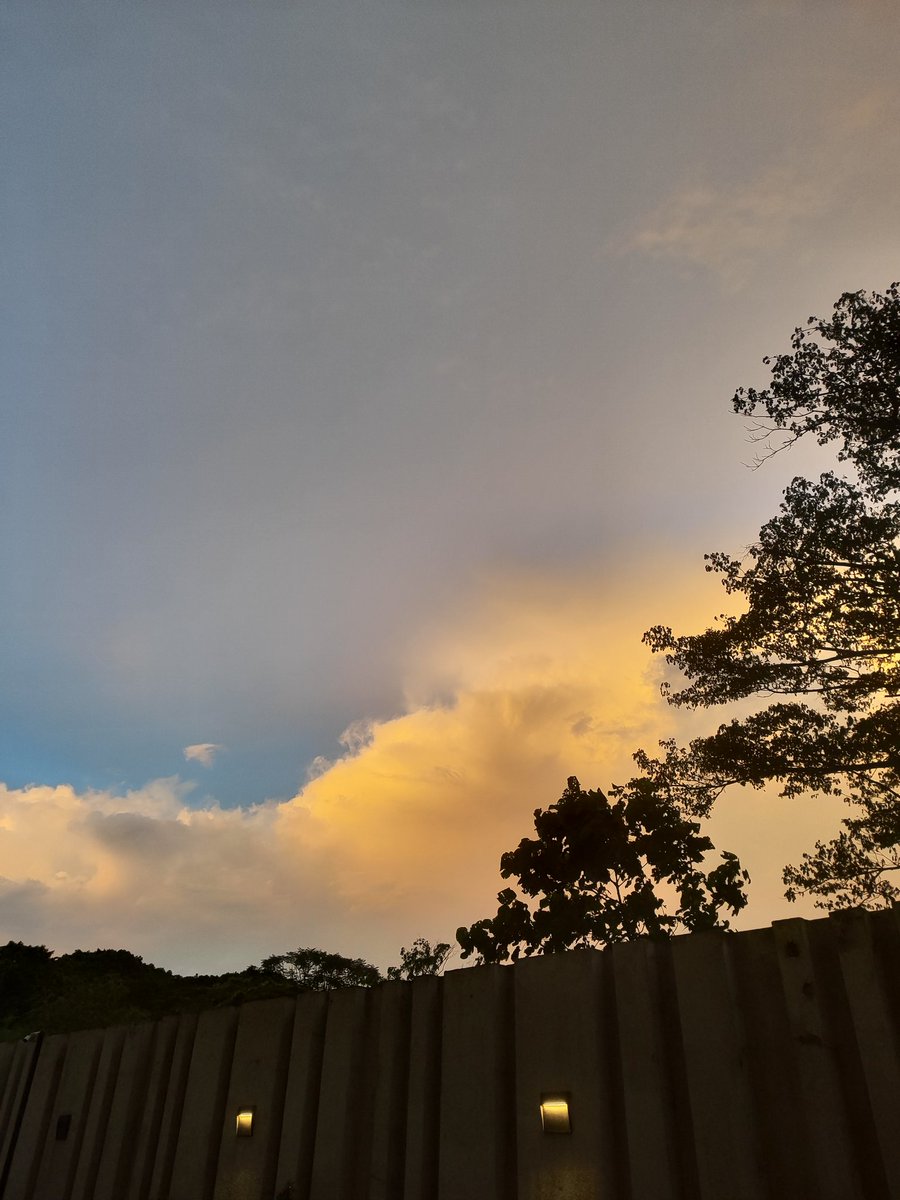 kyyy mode dnd tweet media