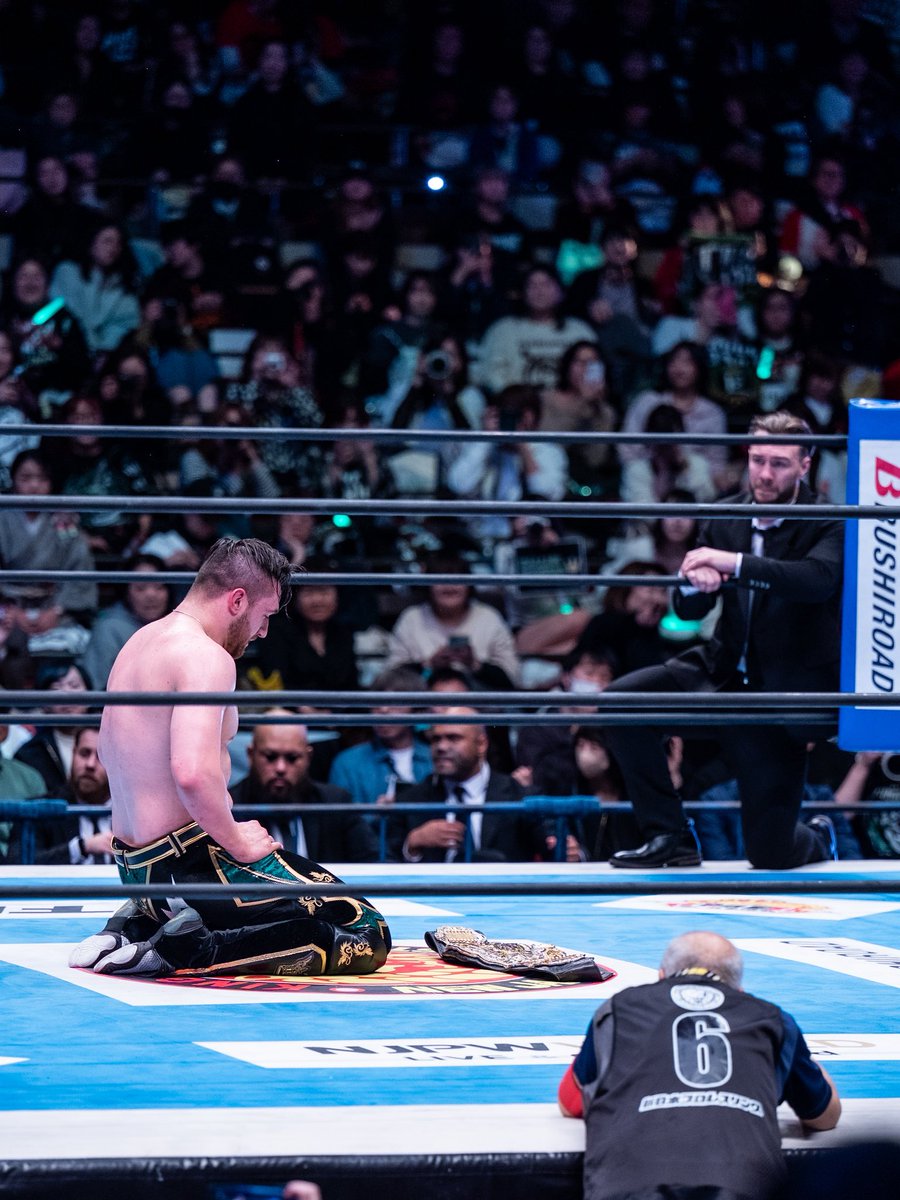 めだまやき🦍🍦🥟 tweet media