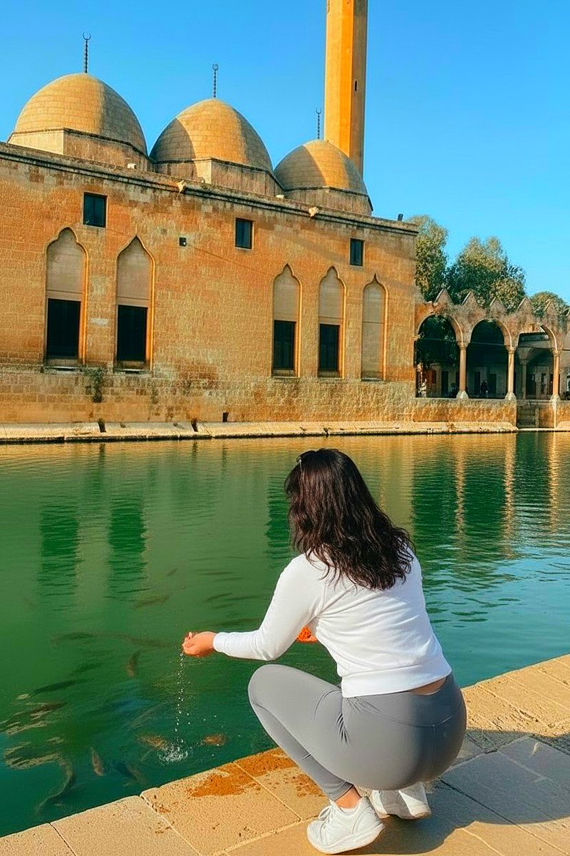 Ev Hanımı Karım Derya tweet media