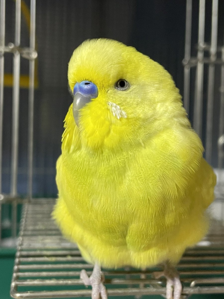 じゅにゃ tweet media