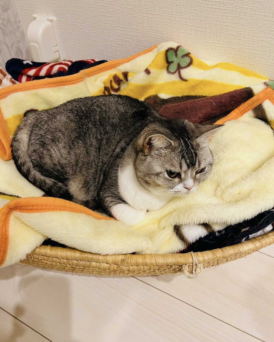 Marron's TV tweet media