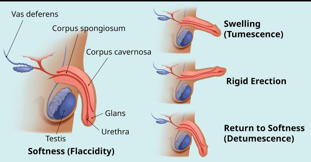 Learn Doctor tweet media