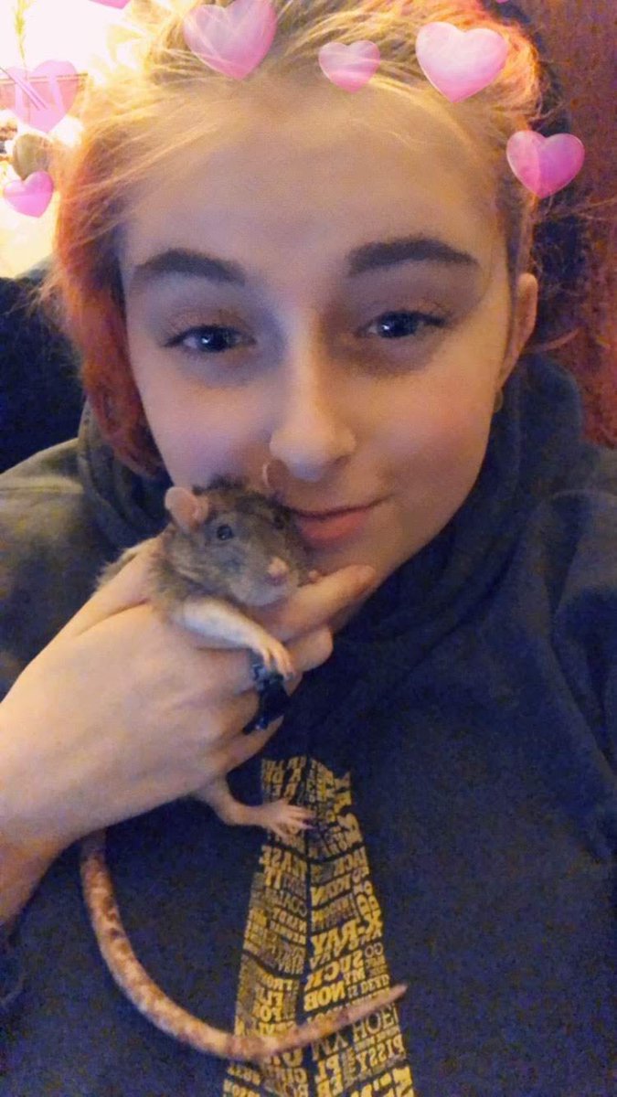 Happy World Rat Day!

Did you know this lil rat here INSPIRED me to create Castii the Rat? 

Her name was Pyhra! And she was the sweetest little baby ever! Throwback to 2019 for this photo of her ❤️

Rats only live 2-3 and she passed not long after this. I miss her oh so much!