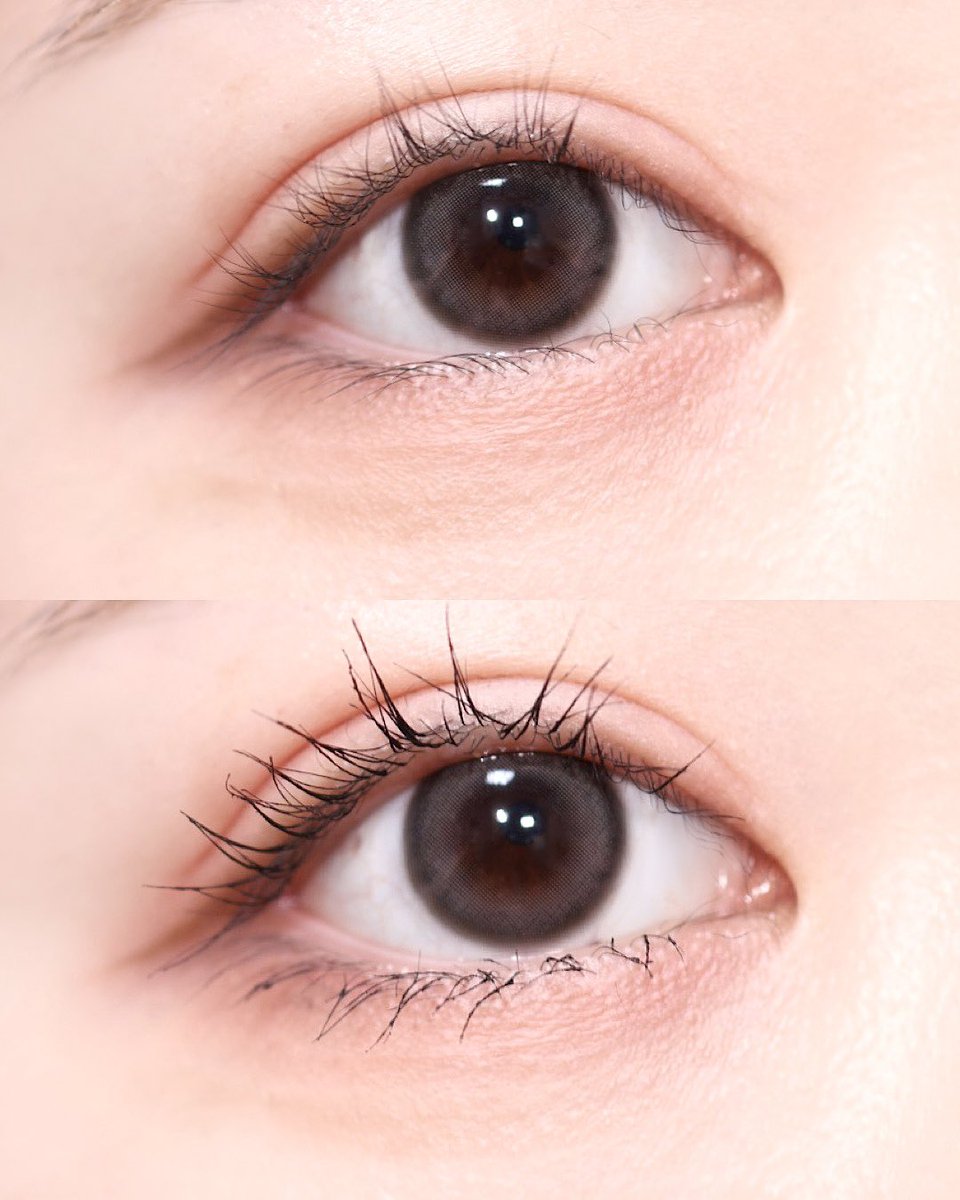 코덕쪼코 tweet media