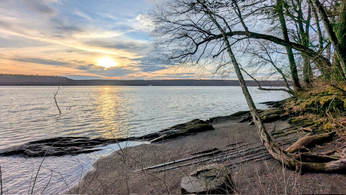 Norann Voll tweet media