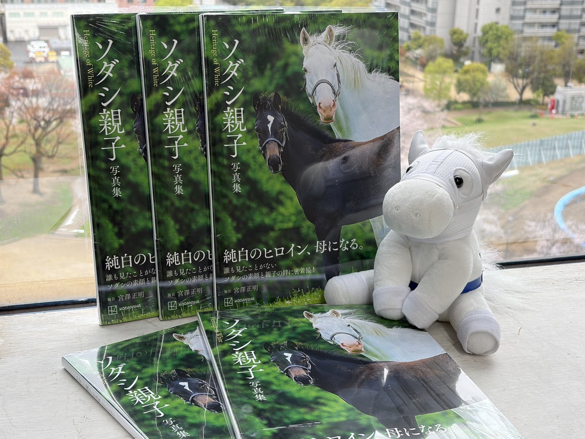 カンテレ競馬 tweet media