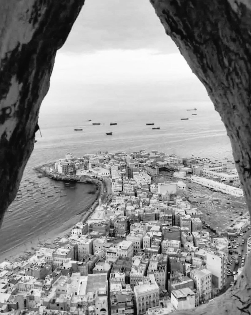 حضرمي ياخي|🇾🇪 tweet media