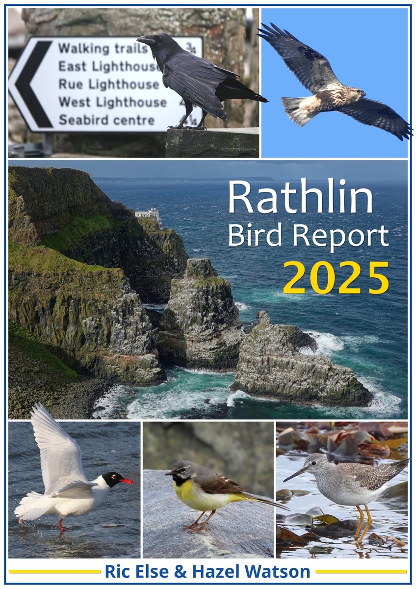 Rathlin Stickybeak tweet media