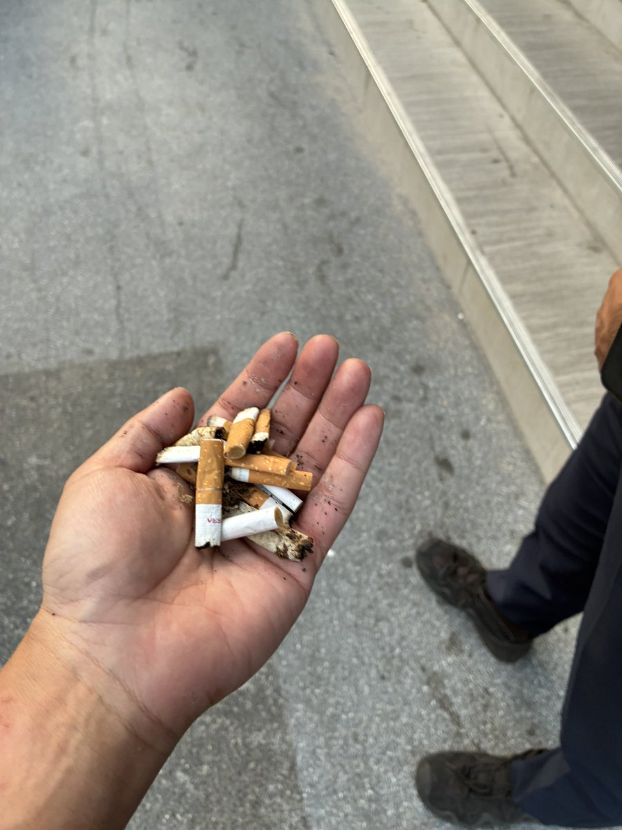 その辺のミャオ🇹🇭 tweet media