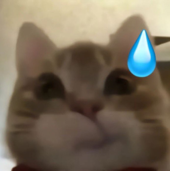 kazuhacasly's tweet photo. hoy warga #anitwt #genshintwt #unlabtwt im looking for new &amp; more moots ><. rt/like and lets follow each other! oiya, 02 voters, homophobic &amp; zionist strictly dni! leave a trace below, i'll hit u up😋 ASAP thankies 🫶 https://t.co/5LUHpykenB