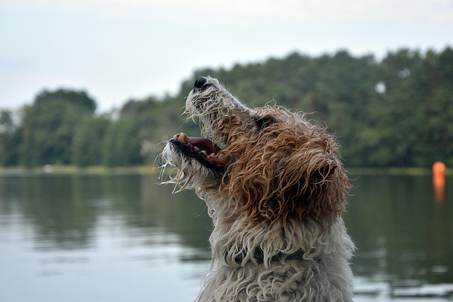 Nicole Singleton tweet media