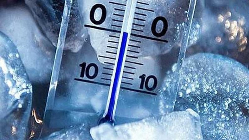 أخبار السعودية tweet media