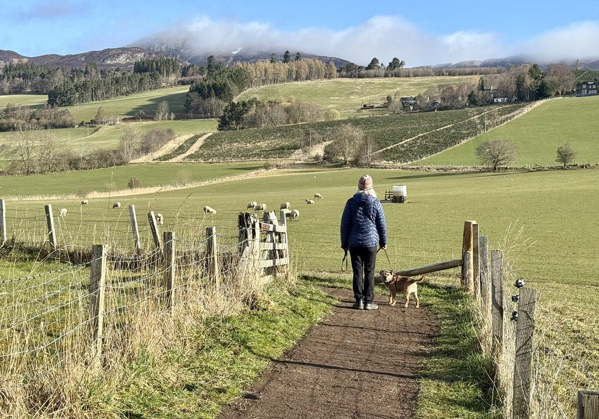 Lord Culter BT 🏴 Order of the IT tweet media