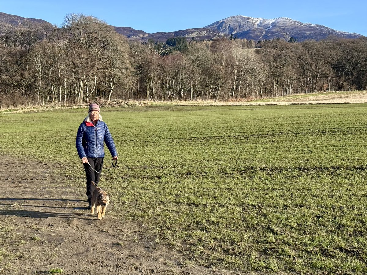 Lord Culter BT 🏴 Order of the IT tweet media