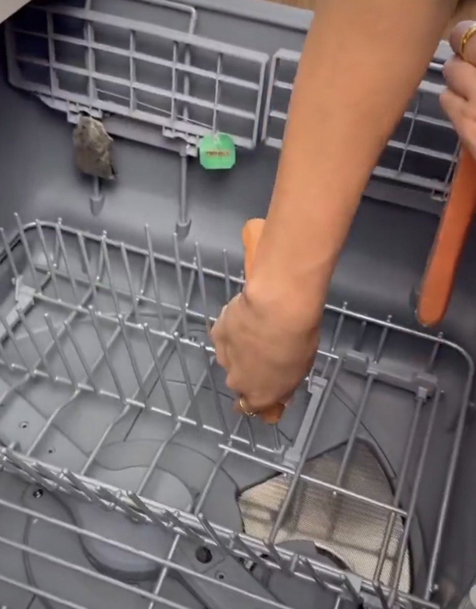 Hana 💫 tweet media