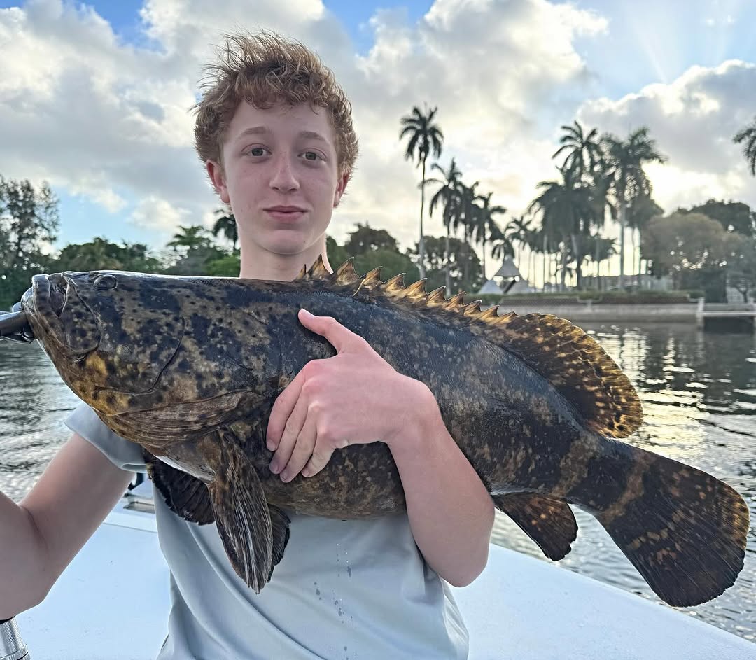 Fishing Niche tweet media