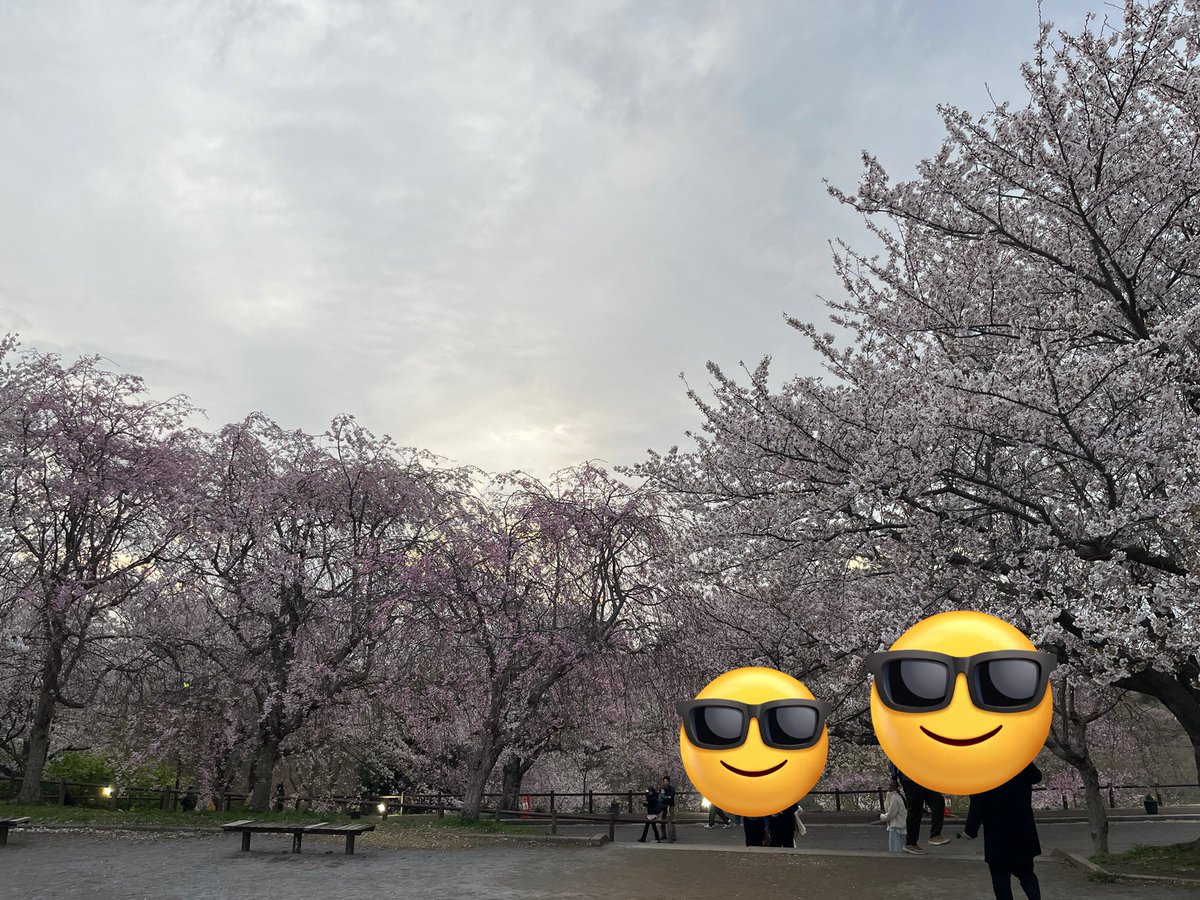 じゅんじゅん♪ tweet media