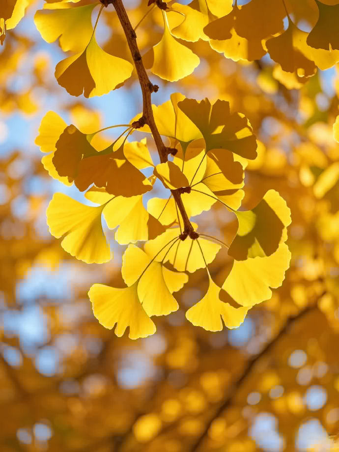 Radthasad tweet media