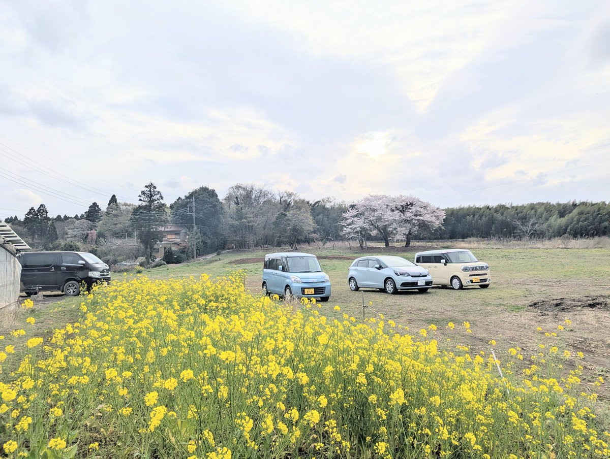 しきね文裕＠佐倉市議会議員 tweet media