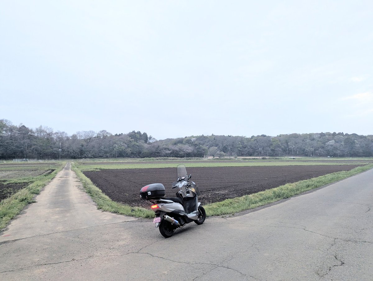 しきね文裕＠佐倉市議会議員 tweet media