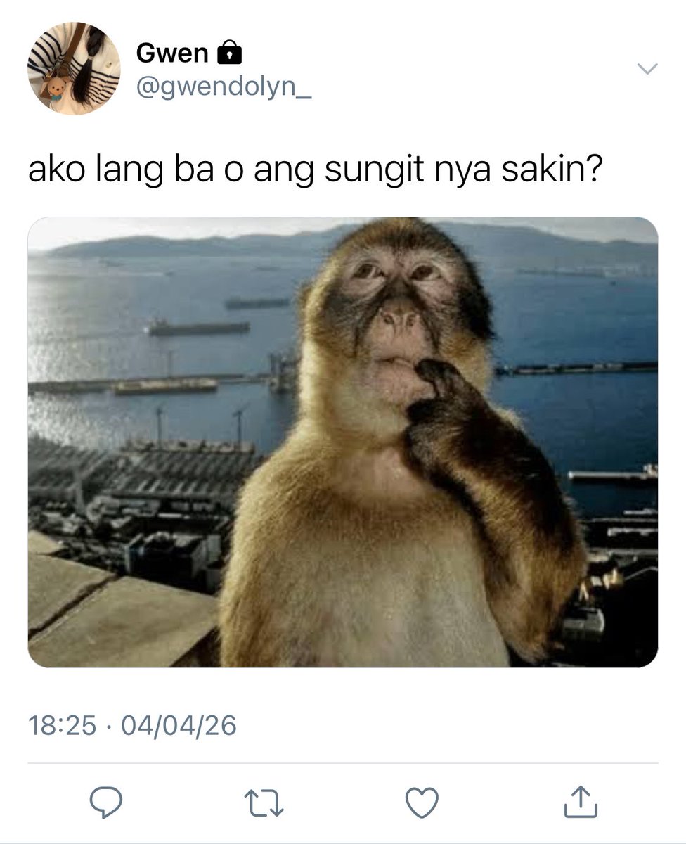 nico;🍀 tweet media