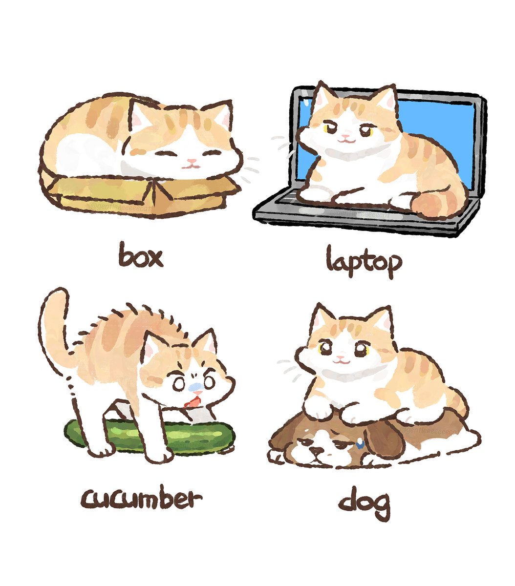 GENTLECAT tweet media