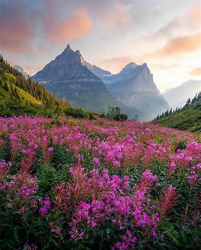 Wealth Sage tweet media