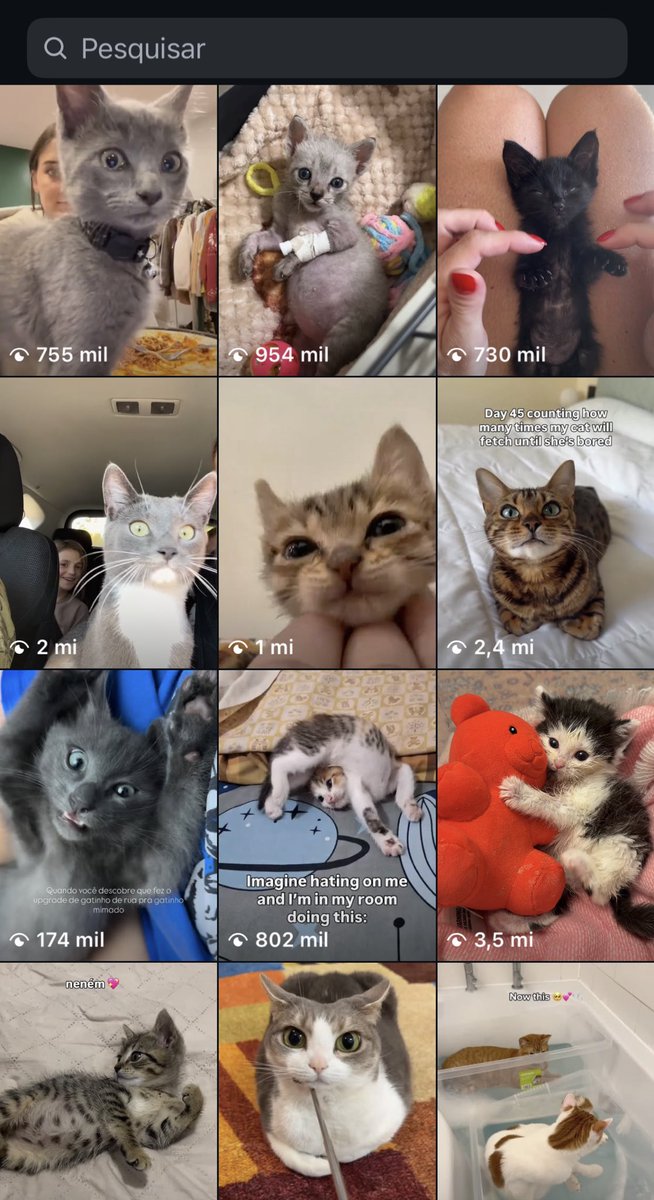 emi 🐁✨ comissões abertas tweet media