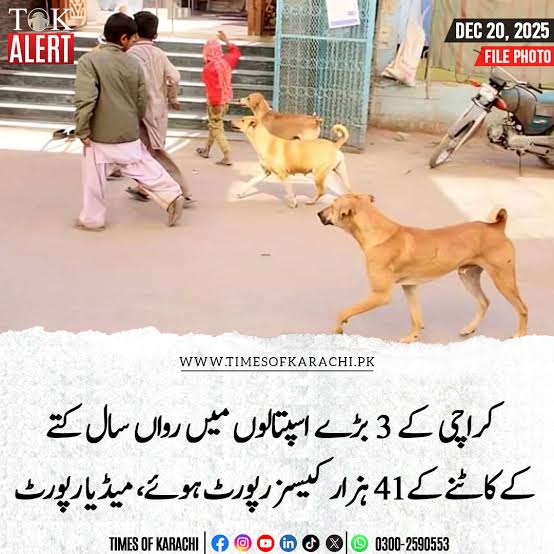 ‏ Nazish Alavi tweet media