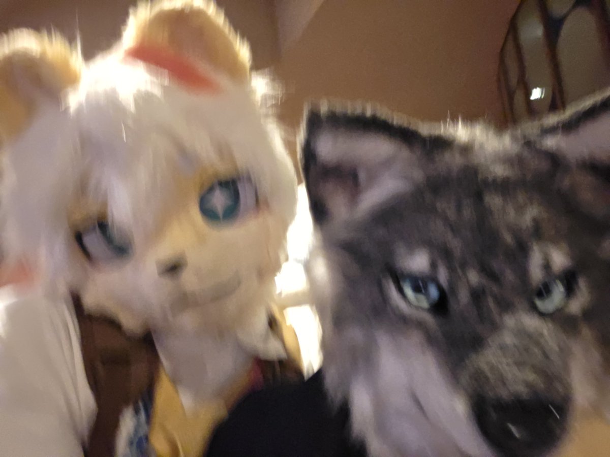 민식스 tweet media