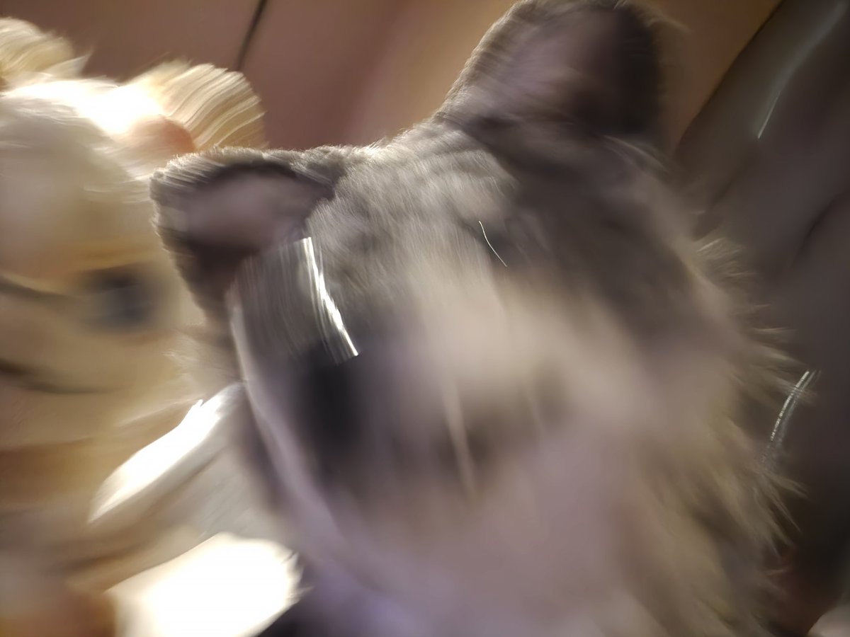 민식스 tweet media