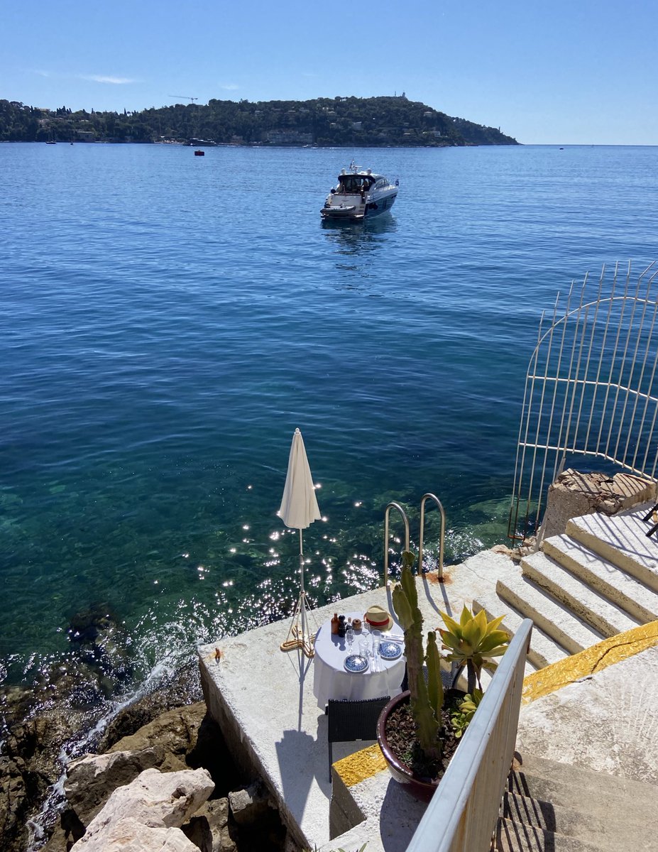 𝑵𝒐𝒓𝒕𝒉 | inês cross 🦐 tweet media