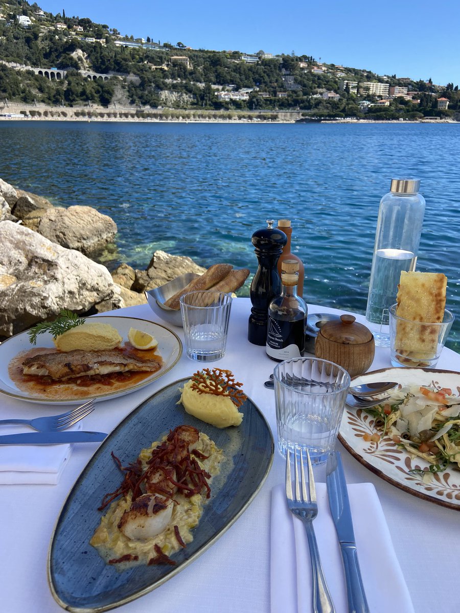 𝑵𝒐𝒓𝒕𝒉 | inês cross 🦐 tweet media