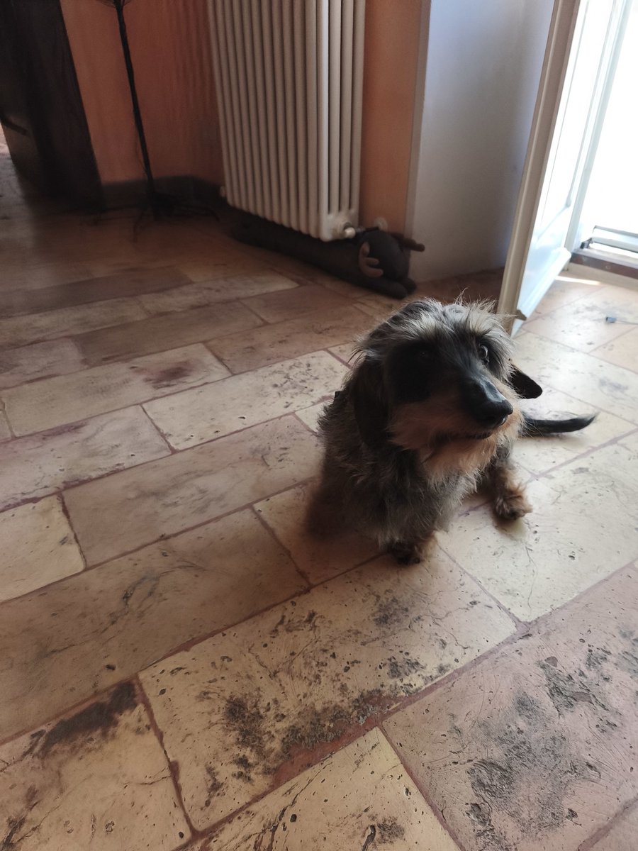 Christi🅰️n tweet media