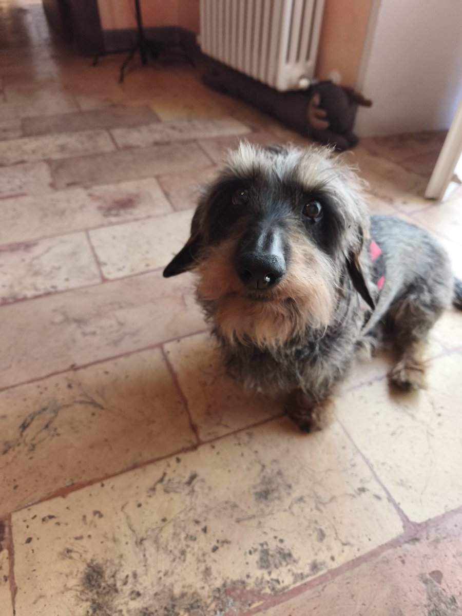 Christi🅰️n tweet media