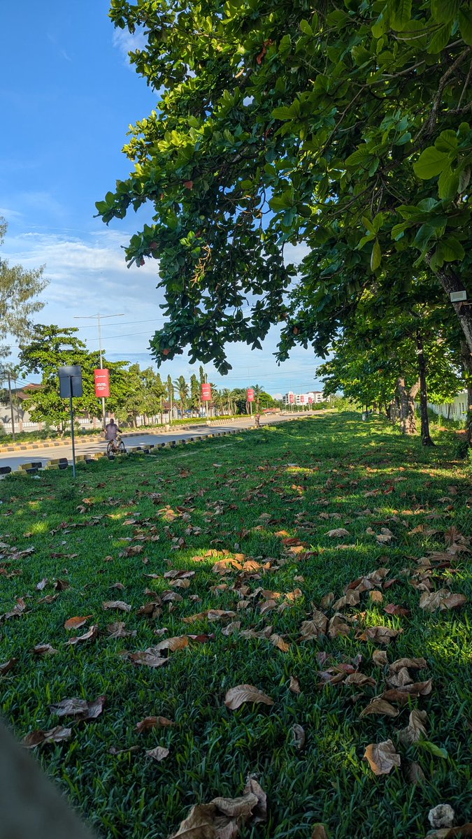 Ommiy Smiley tweet media