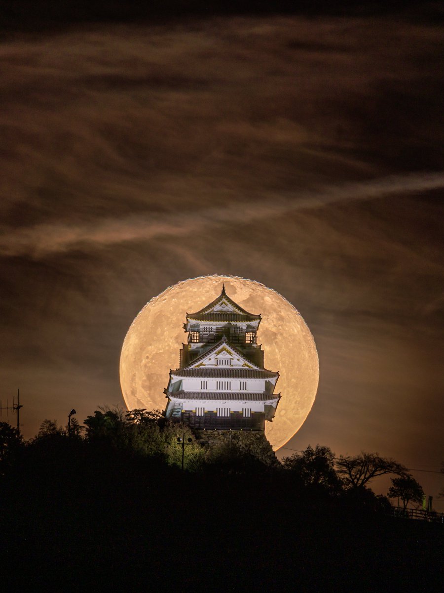 jigurohiro / photo tweet media