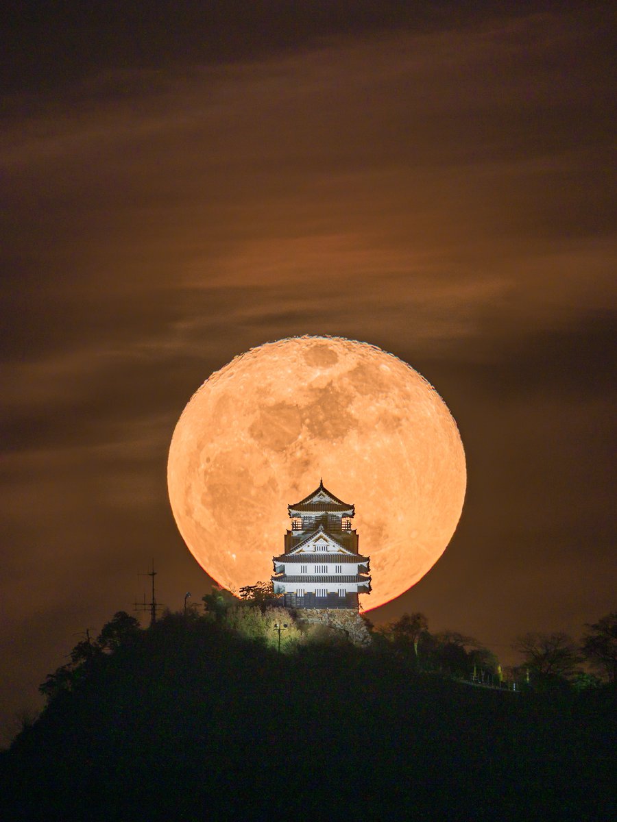 jigurohiro / photo tweet media