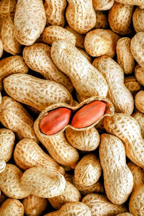 Sweet Nector tweet media