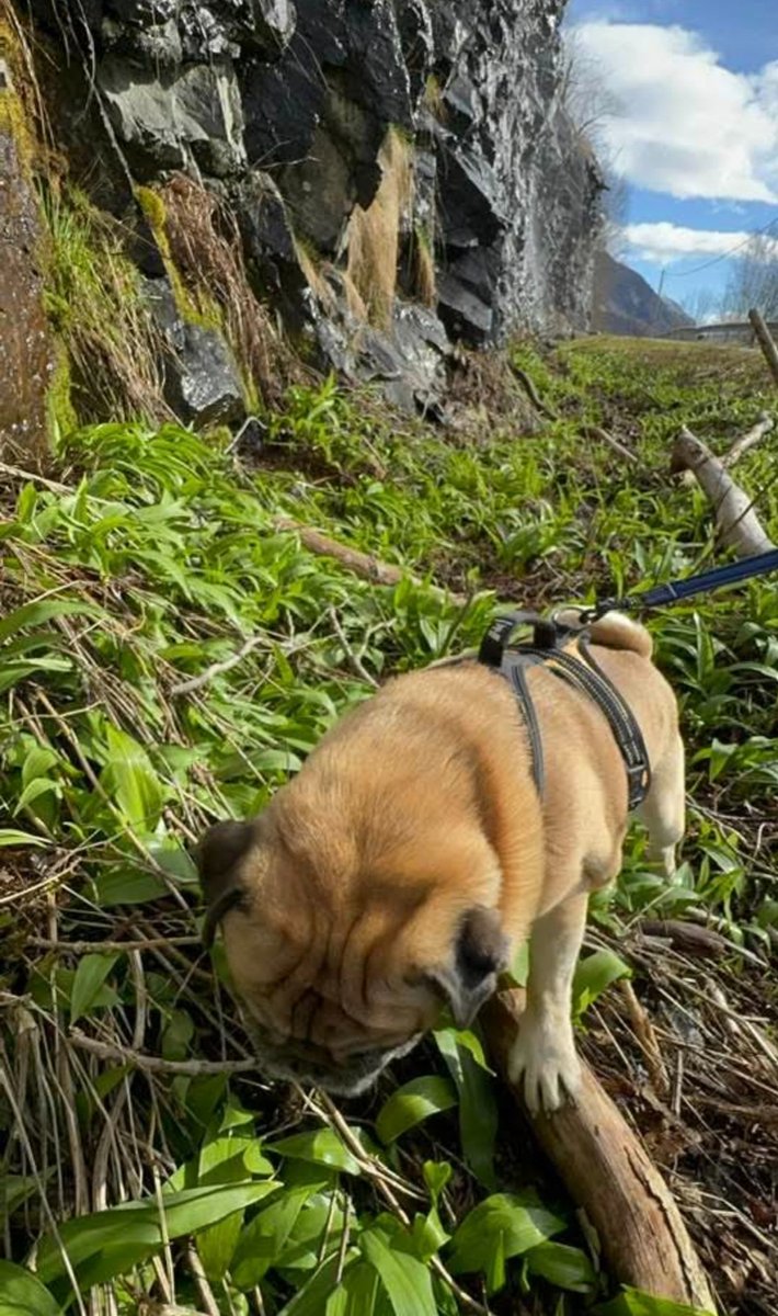 Sarah Thiravong tweet media