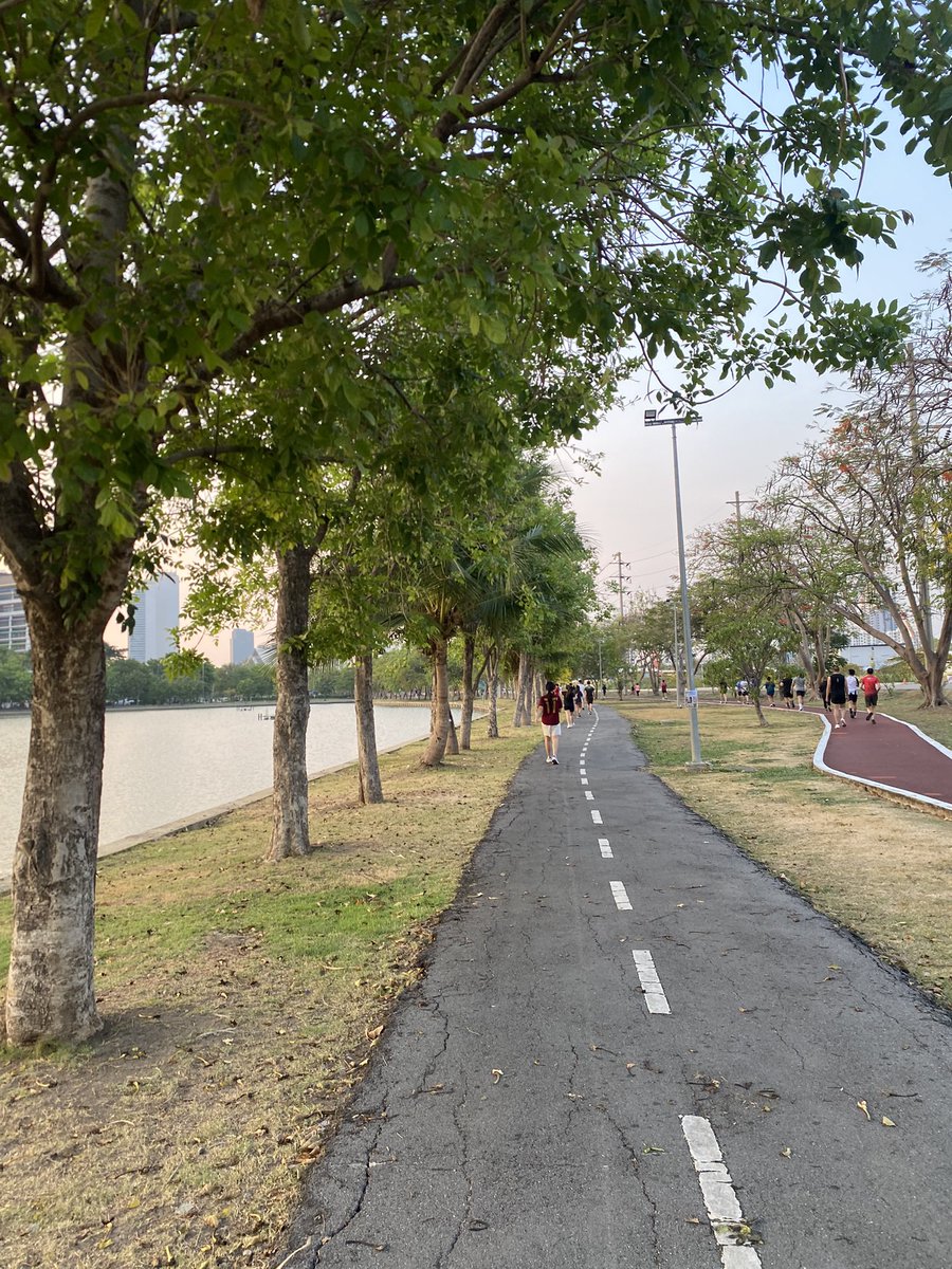 เซเลสเทียร์ tweet media